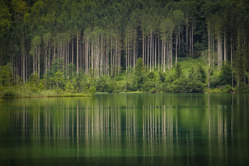 Stillness
